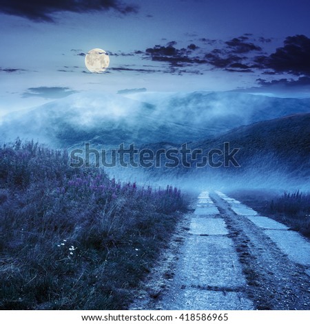 composite summer landscape with high wild grass and purple flowers in fog near the road on mountain hillside at night in full moon light