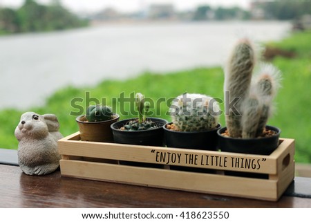 Inspirational  Quote "Enjoy the little things" with cactus and river background

