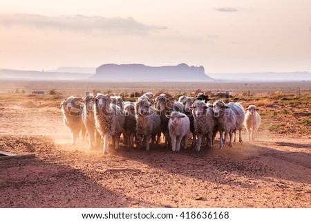 A flock of sheep in Navajo Nation Reservation reservation. Monument Valley, United States Royalty-Free Stock Photo #418636168