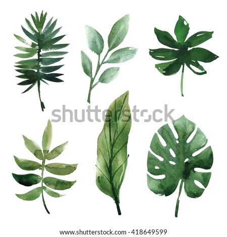 watercolor tropical leaves Royalty-Free Stock Photo #418649599