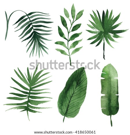 watercolor tropical leaves