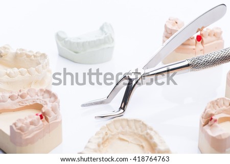 Teeth molds with basic dental tools on a bright white surface