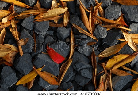 Fallen leaves, red on gold and grey