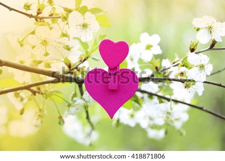 Love. Wooden heart in cherry blossom. Wooden clothespin in the form of heart