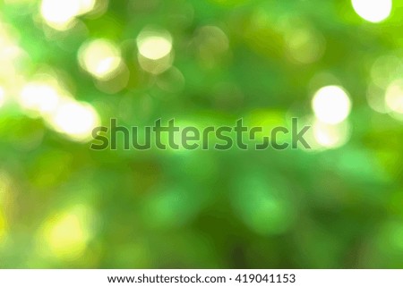 a blurred picture of fresh green natural thai herb forest 