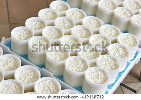 Molds with semifinished for the production of soft cheese Royalty-Free Stock Photo #419118712