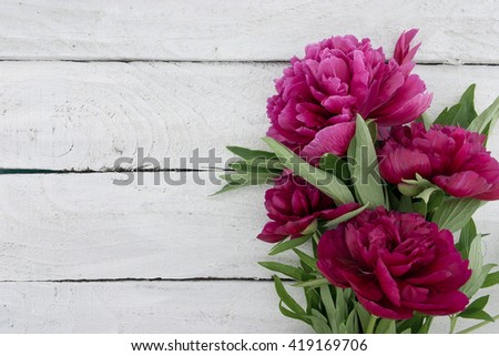 Red peony flower on white rustic wooden background with empty space for greeting message. Mother's Day and spring background concept. Holiday mock up. Top view.