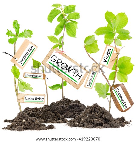 Photo of plants growing from soil heaps with GROWTH conceptual words written on paper cards