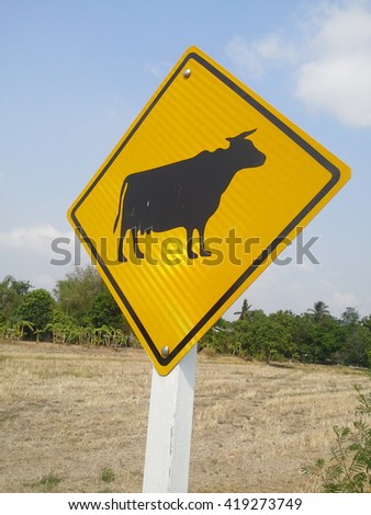 The  yellow  cattle  traffic  warning  on  the  side  road