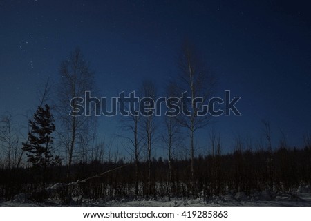 Night astronomical landscape