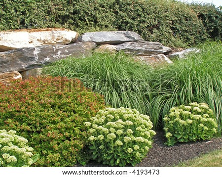 Boulder retaining wall at a commercial site with attractive plantings that include perennials, grasses and deciduous and evergreen shrubs Royalty-Free Stock Photo #4193473
