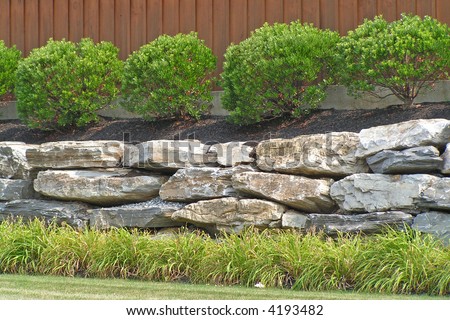 Boulder retaining wall at a commercial site with Inkberry Holly and Daylily Royalty-Free Stock Photo #4193482