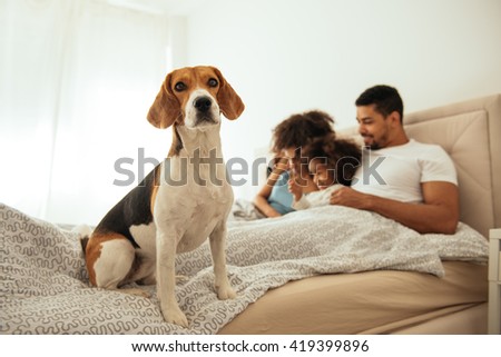 Happy family lying in a bed and looking at a laptop.
