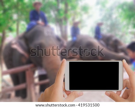woman use mobile phone and blurred image of elephant and mahout
