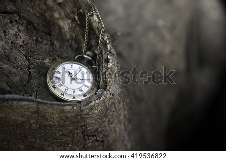 retro pocket watch on tree show time at 10.10