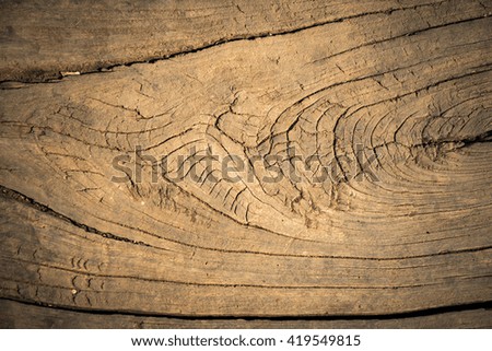 abstract texture background of wood