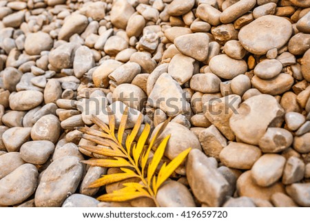 An abandoned dry yellow leaf on a bed of stones in Manipur, India 