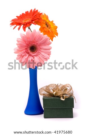 Beautiful gerber flowers in blue vase on white background