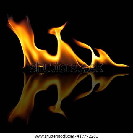 flames with reflection on a black background 