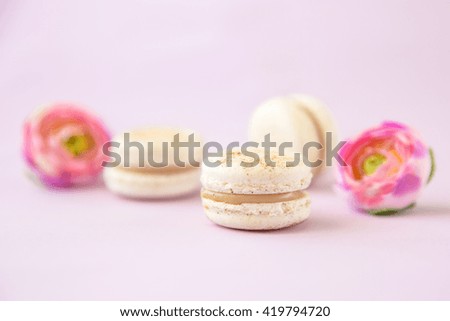 Traditional french eco-friendly dessert Macarons. A lot of fresh pastel, airy and delicious cookies.