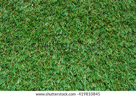Green of grass