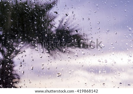 Window covered with rain drops on dull autumn day with view of palm tree behind the window outdoors. Main focus on drops with blurred defocused background.