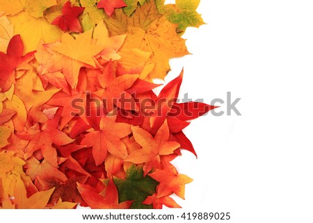 autumn leaves as nice natural color background