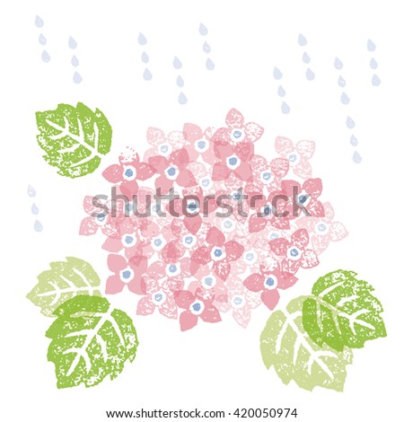 A Pink hydrangea in a rainy season