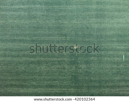 Chalkboard / blackboard green. Empty blank with copy space for chalk text. Used feel with chalk traces and great texture.