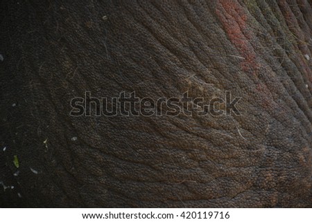 Elephant skin texture monochrome background. skin rough background.