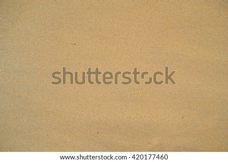 Sand texture. Sandy beach background. 