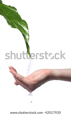 clean clear water, flowing down from  leaf  in a hand Royalty-Free Stock Photo #42017920
