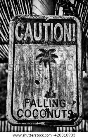 Guide fun sign - Falling coconuts. Black-white photo.