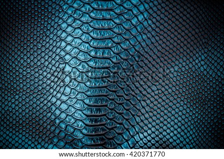 Green skin leather texture use for background Royalty-Free Stock Photo #420371770