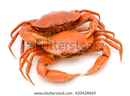 Cooked Crabs Isolated on white background