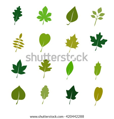 Set of color tree leaves icon