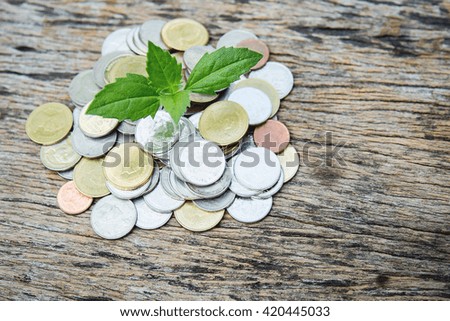Growing young tree with coins pile.  collecting money conceptual photo. 