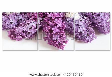 Lilac flowers posters, floral canvas collage, interior decor