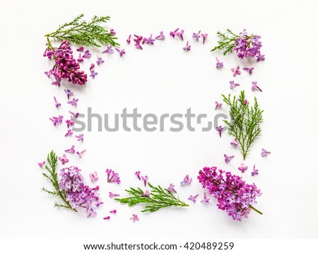 Floral border of fresh lilac flowers and juniper twigs on white. Flat lay, top view.
