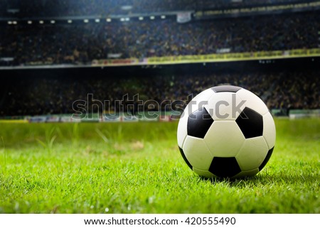 soccer on grass  and stadium.