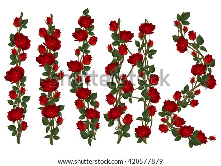 red roses on white background,flower are blooming
