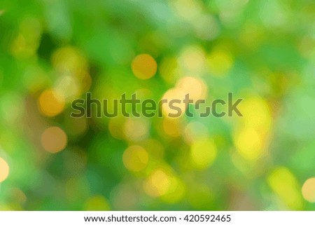 a picture of natural green bokeh background 