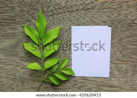 Green leaf and and paper on wood background