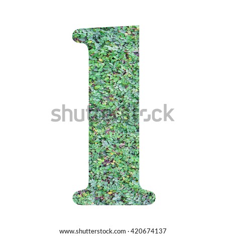 Number  alphabet of green leaves