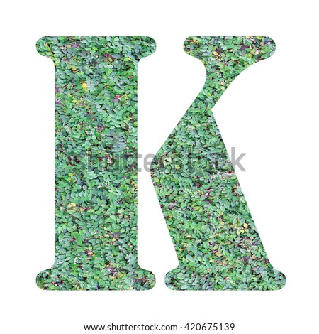 English  alphabet letters with green leaf  background