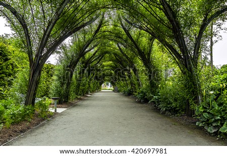 Picturesque pass with green trees, ideal symmetry
