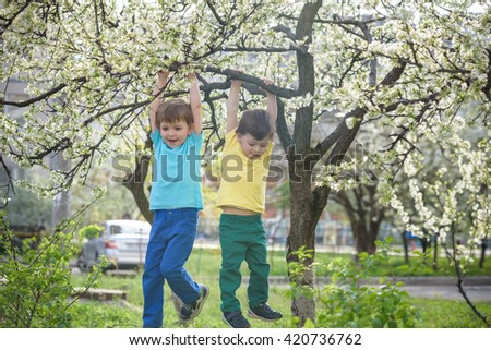 Two boys brothers kids hanging from a blossom spring tree and having fun in the nature