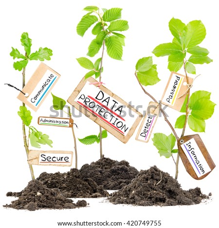 Photo of plants growing from soil heaps with DATA PROTECTION conceptual words written on paper cards