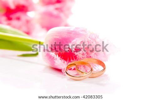 Wedding rings and pink tulip flowers