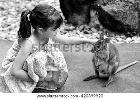 Little child (girl age 5-6) petting a Yellow-footed rock-wallaby in  Queensland, Australia. It appears on the IUCN Red List of Threatened Species .